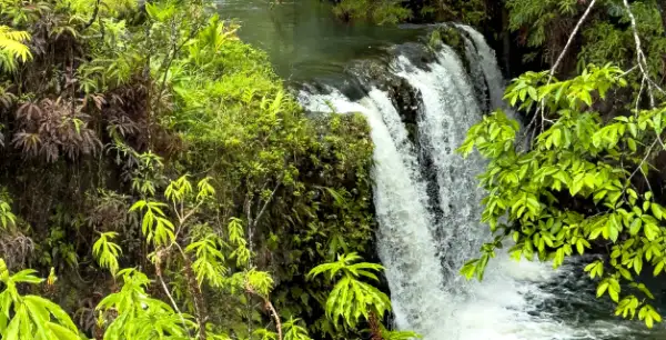 Full Day hana tour